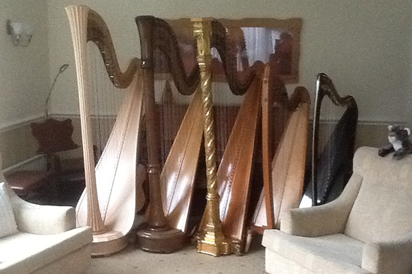 Harpist in the west midlands